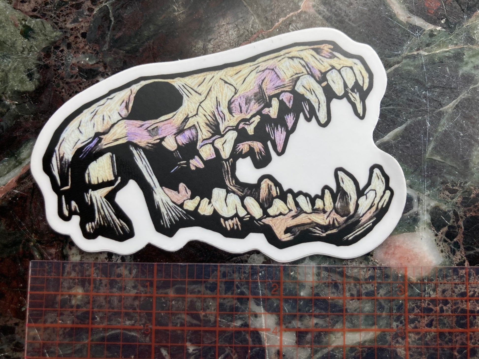 a sticker depicting an embroidered coyote skeleton with an open mouth and lots of teeth sits on a dark surface. The Embroidered skull is beige and lavender and black tones with lots of shadows. A visible ruler shows the sticker to be a little less than 3 inches long.