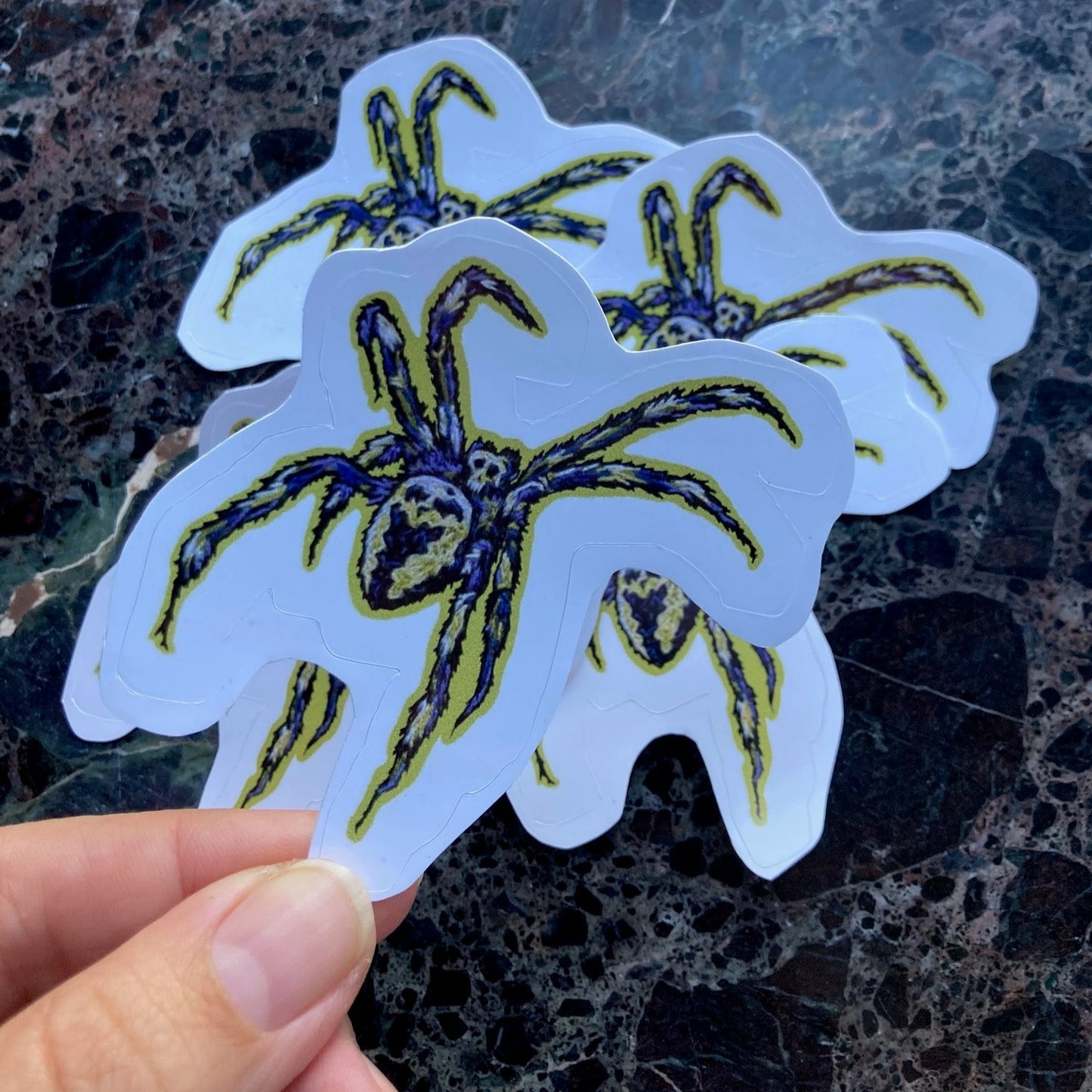 A hand holds up a sticker with the image of an embroidered fuzzy spider in deep purple and chartreuse and black, with the shape of skull in its markings.