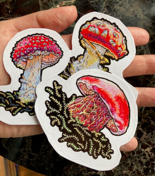 Mushroom Sticker Collection (3 large stickers)
