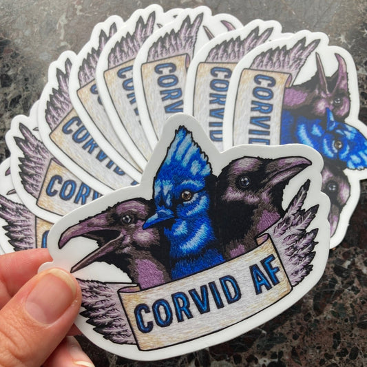 A pile of stickers sits atop a dark marble surface. The stickers depict an embroidery of the heads of three Corvids: a raven, a blue jay, and a crow. Below them is a banner that reads "CORVID AF" and the edge of the banner is feathers. a hand holds one of the stickers up to the camera.