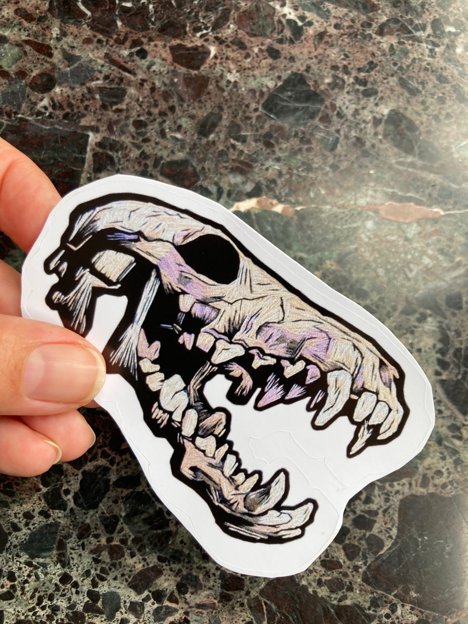 a hand holds up a sticker depicting an embroidered coyote skeleton with an open mouth and lots of teeth above a dark surface. The Embroidered skull is beige and lavender and black tones with lots of shadows. 