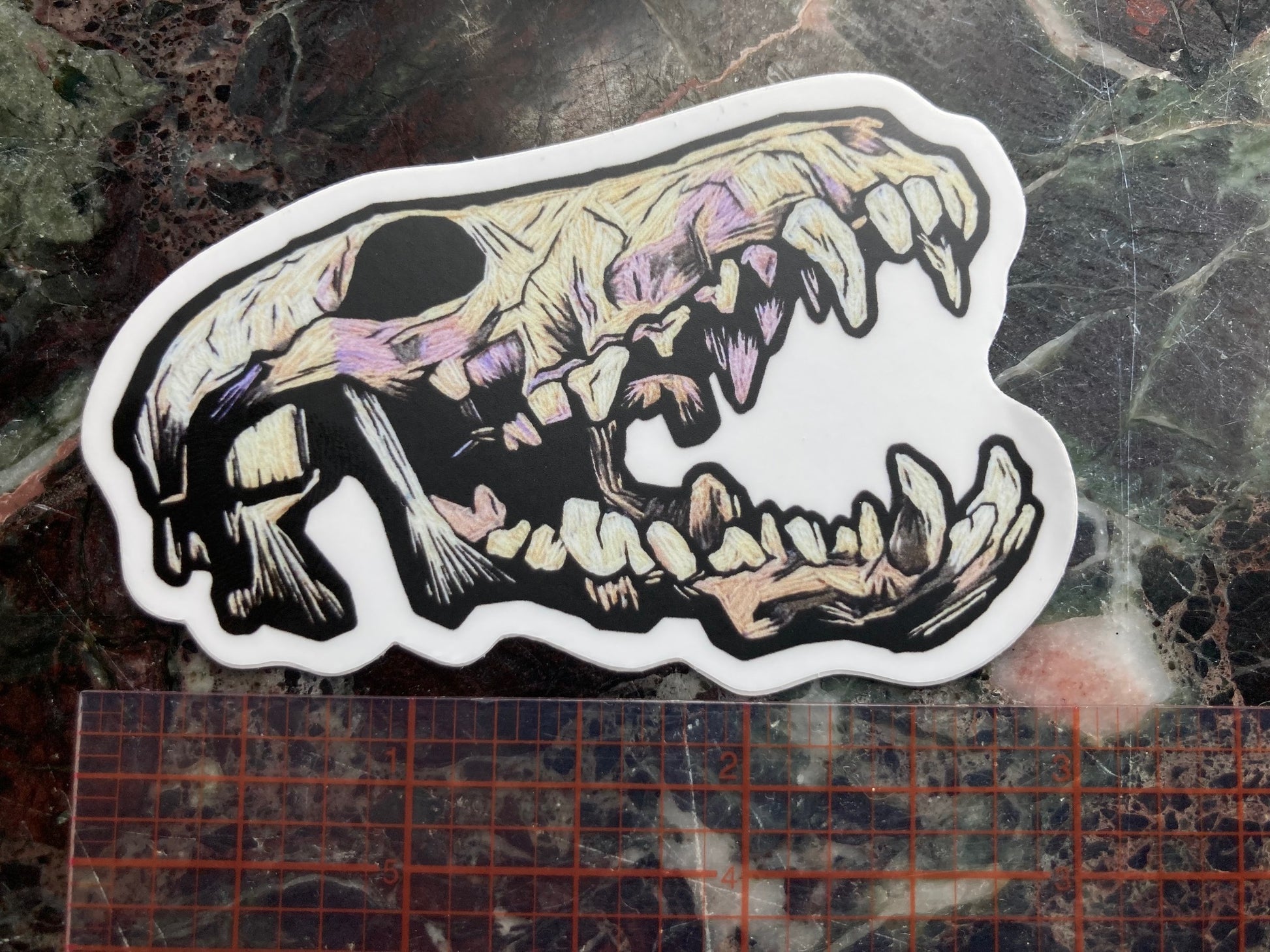 a sticker depicting an embroidered coyote skeleton with an open mouth and lots of teeth sits on a dark surface. The Embroidered skull is beige and lavender and black tones with lots of shadows. A visible ruler shows the sticker to be a little less than 3 inches long. 