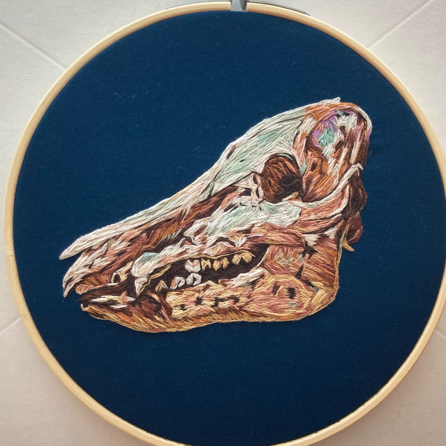 Colorful embroidery of a wild pig skull in profile on dark blue fabric in a round hoop.