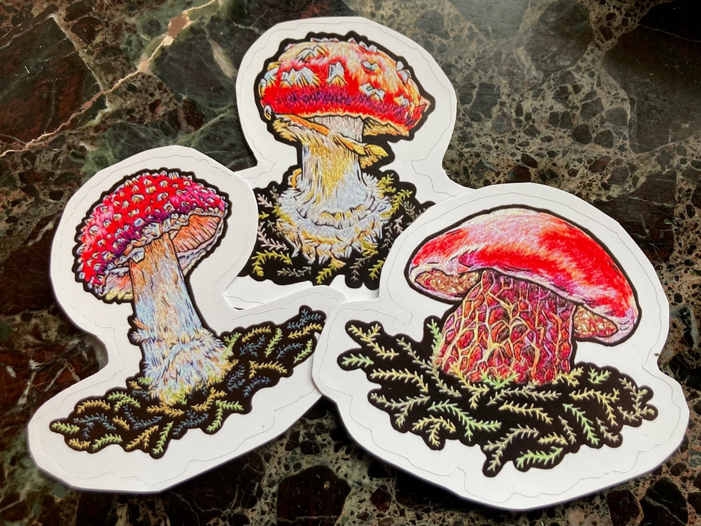 Mushroom Sticker Collection (3 large stickers)