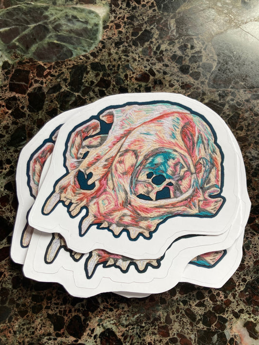 Domestic Cat Skull Sticker - 3"