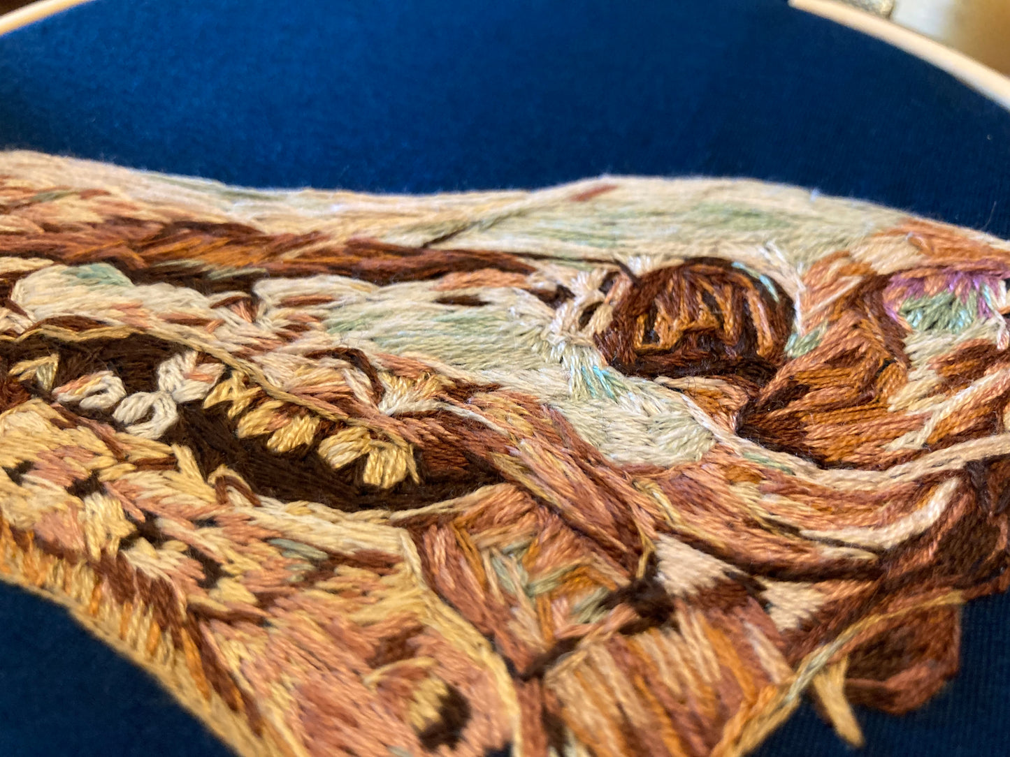 Close-up picture of colorful embroidery of a wild pig skull in profile on dark blue fabric in a round hoop.