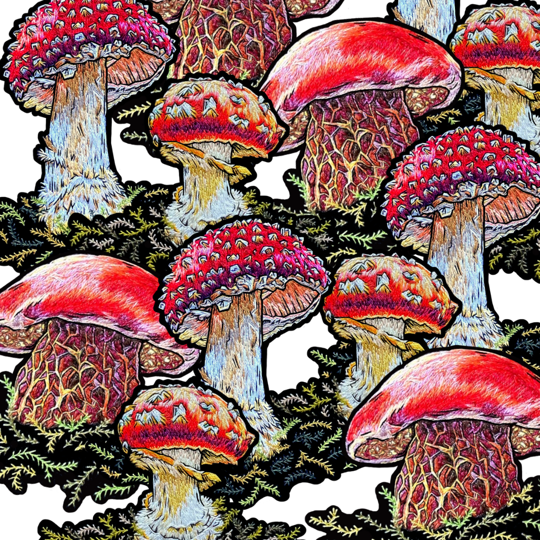 Mushroom Sticker Collection (3 large stickers)